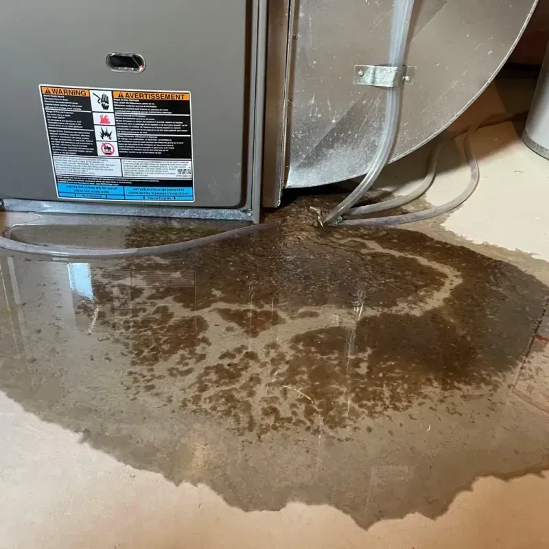 Appliance Leak Cleanup in Cumberland County, NJ